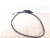 Exhaust gas temperature sensor