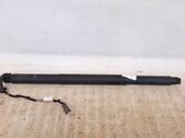 Tailgate/trunk strut/damper