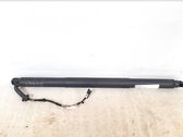 Tailgate/trunk strut/damper
