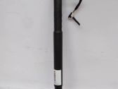 Tailgate/trunk strut/damper