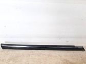 Other rear door trim element