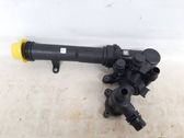 Thermostat/thermostat housing