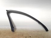 Other front door trim element