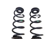 Rear coil spring