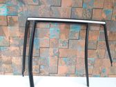 Rear door glass trim molding
