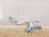 Tailgate/trunk/boot hinge