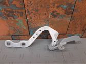 Tailgate/trunk/boot hinge