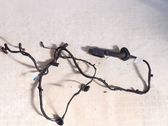 Rear door wiring loom