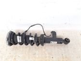 Rear shock absorber/damper