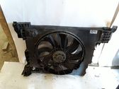 Electric radiator cooling fan