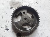 Camshaft pulley/ VANOS