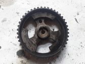 Camshaft pulley/ VANOS