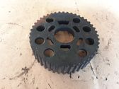 Camshaft pulley/ VANOS