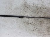 Front bonnet/hood damper/strut