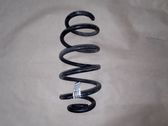 Front coil spring