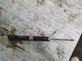 Rear shock absorber/damper