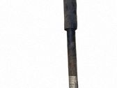 Stoßdämpfer hinten