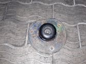 Coil spring mount