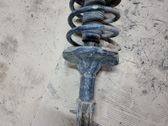 Front shock absorber with coil spring