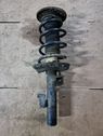 Front shock absorber with coil spring