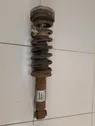 Rear shock absorber with coil spring