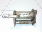 EGR valve cooler