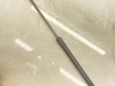 Amortiguador/puntal del maletero/compartimento de carga