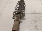 Front shock absorber with coil spring