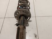Front shock absorber with coil spring