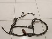 Other wiring loom