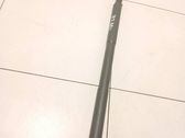 Tailgate/trunk strut/damper
