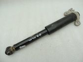 Stoßdämpfer hinten