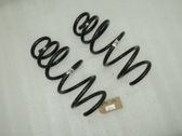 Front coil spring
