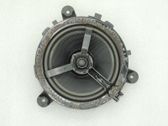 Rear door speaker