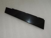 Front door trim (molding)