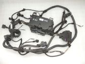 Other wiring loom