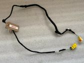 Other wiring loom