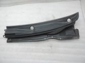 Windshield trim