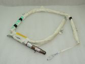 Airbag de toit