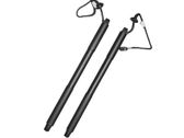 Tailgate/trunk strut/damper