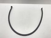 Rubber seal front door (on door)