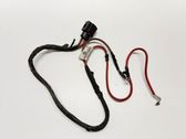 Other wiring loom