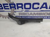 Moldura del limpia