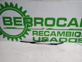 Brazo del limpiaparabrisas delantero