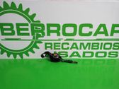 Cinturón trasero