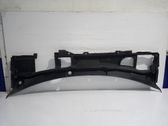 Moldura del limpia