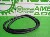 Rubber seal front door (on door)