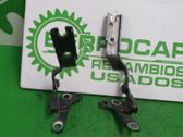 Bisagras del capó/tapa del motor