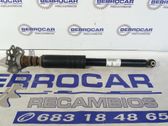 Rear shock absorber/damper