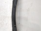 Moldura del limpia